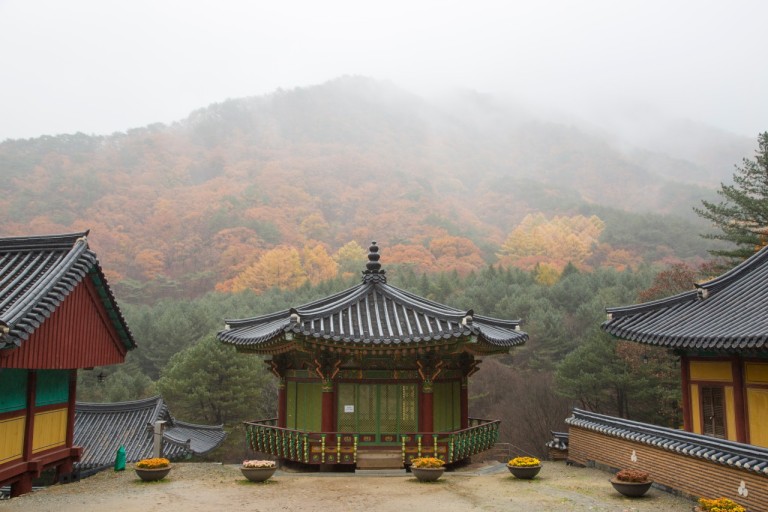 구룡사