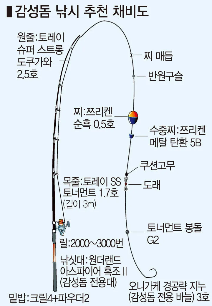 낚시 초보 탈출 감성돔 감칠맛 나는 회 손질 요령_4