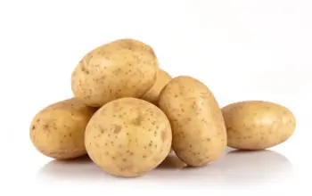 위염에 좋은 음식&amp;#44; 나쁜 음식