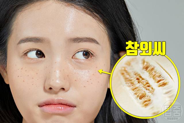 참외 효능 엽산 비타민c 참외씨 효능 참외부작용 하루섭취량