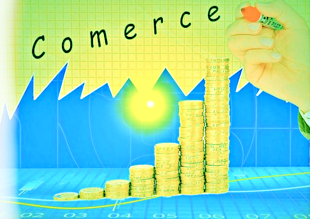 s앤p 500 자산운영법