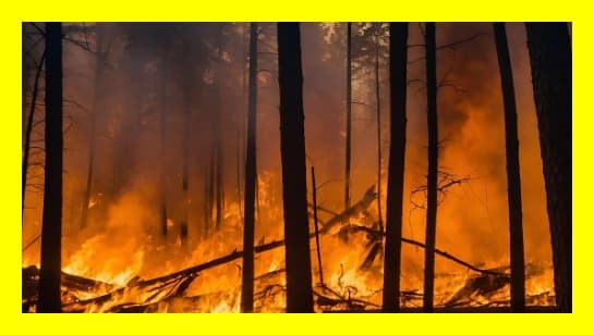 기후 리스크란? 기업 경영과 금융에 미치는 영향 총정리