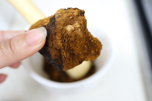 차가버섯-덩어리