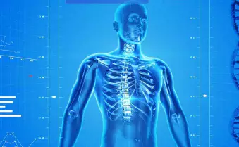 아르기닌-복용법-효능-건강