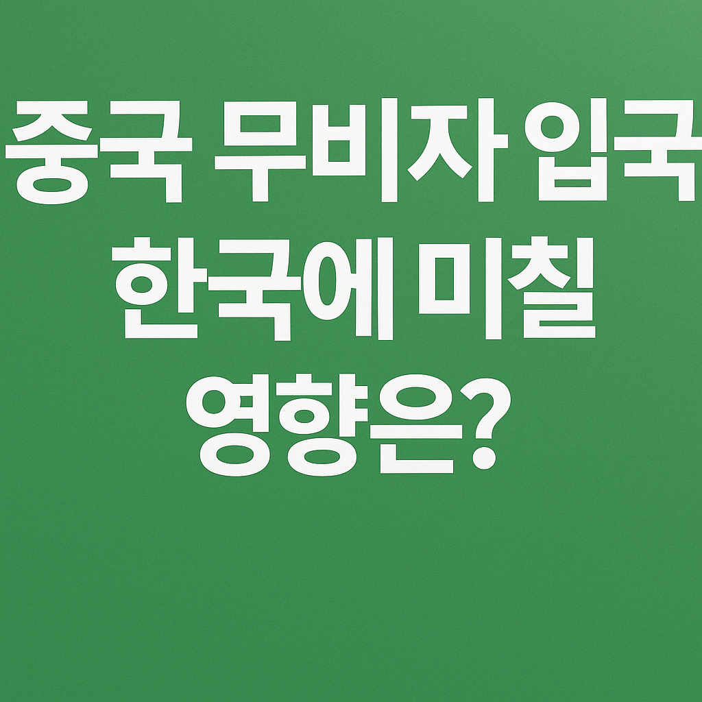 중국 무비자 입국