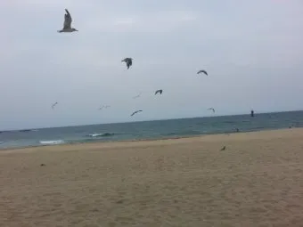 강원도 경포대 해수욕장과 강릉 가볼만한곳 best5 여행 자료집_18