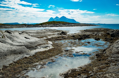 극지방의 미생물: 숨겨진 생태계의 열쇠