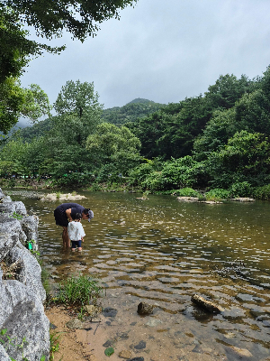 여행 경비를 줄이는 사전 준비 방법, 같은 여행도 더 저렴하게 즐기는 노하우