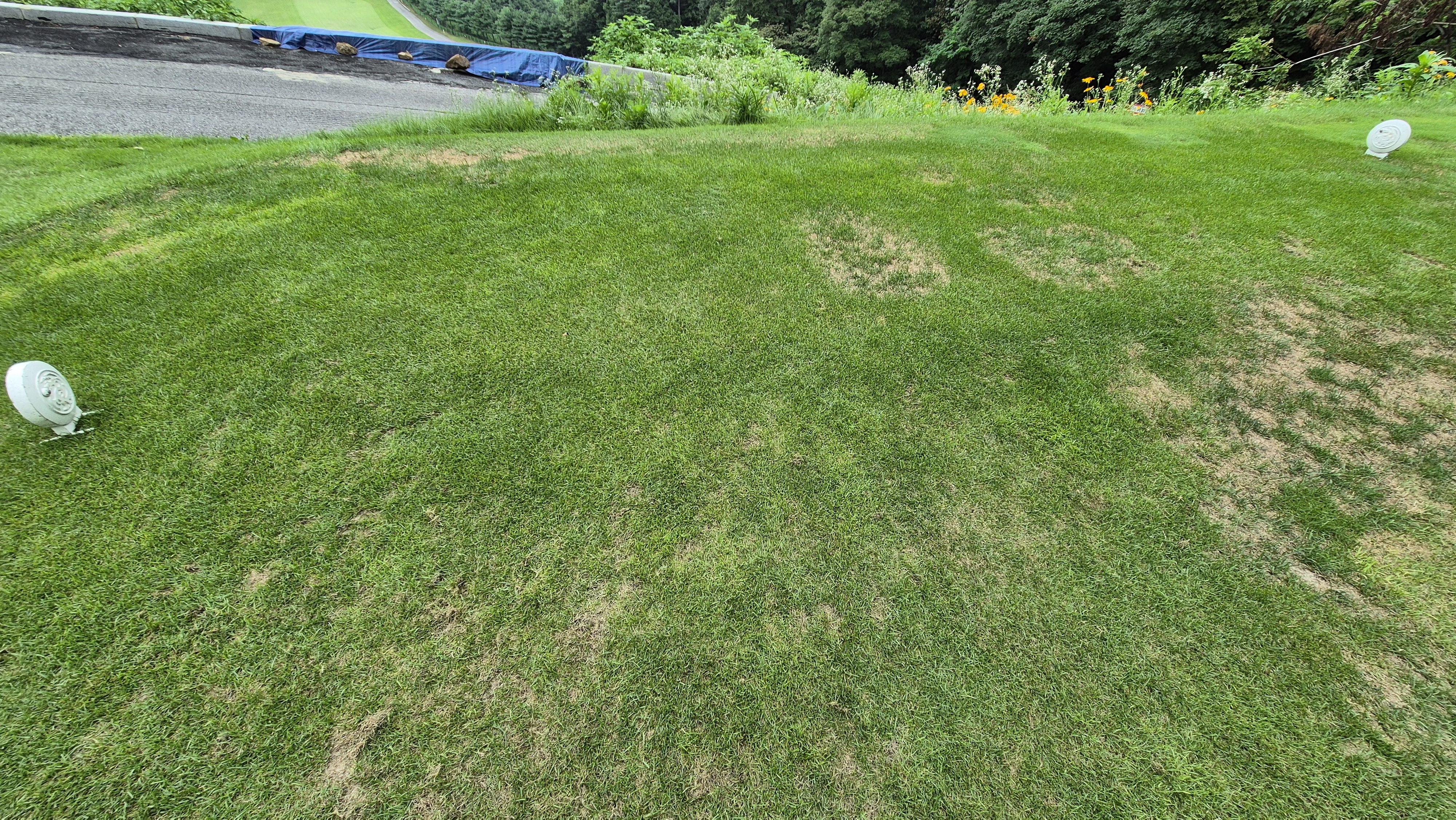 참밸리cc 라운드 후기