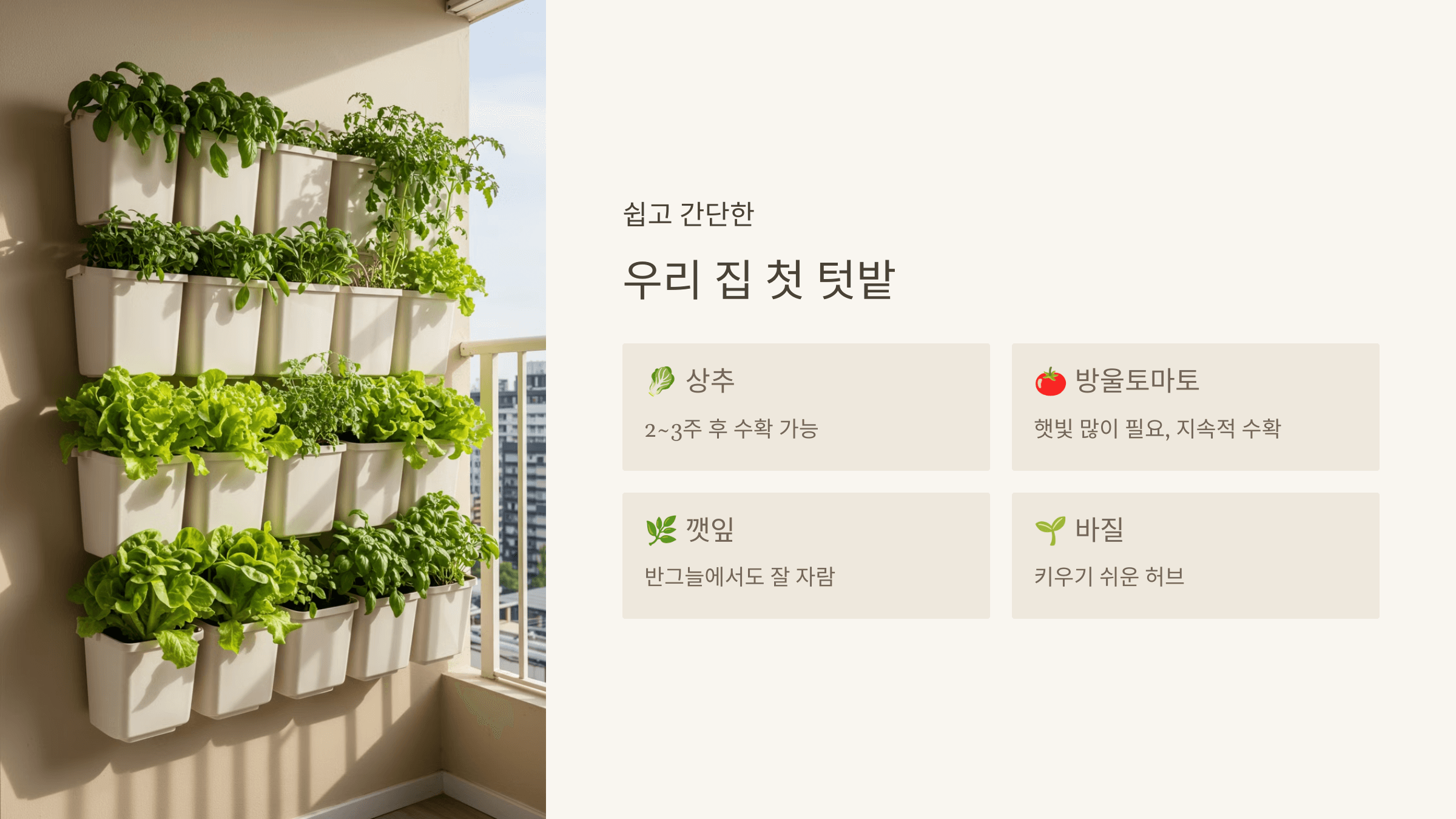 초보자가 키우기 쉬운 베란다 작물 추천