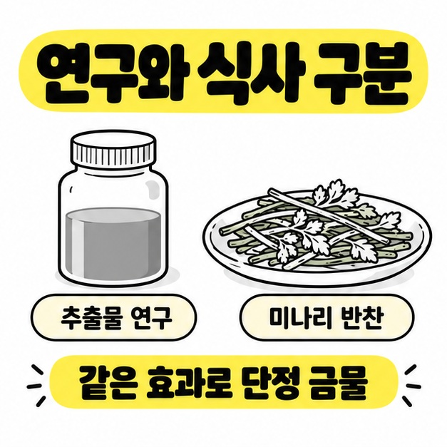 추출물 연구 용기와 미나리 반찬 접시를 나란히 배치하고 같은 효과로 단정하지 말라고 표시한 비교 카드.