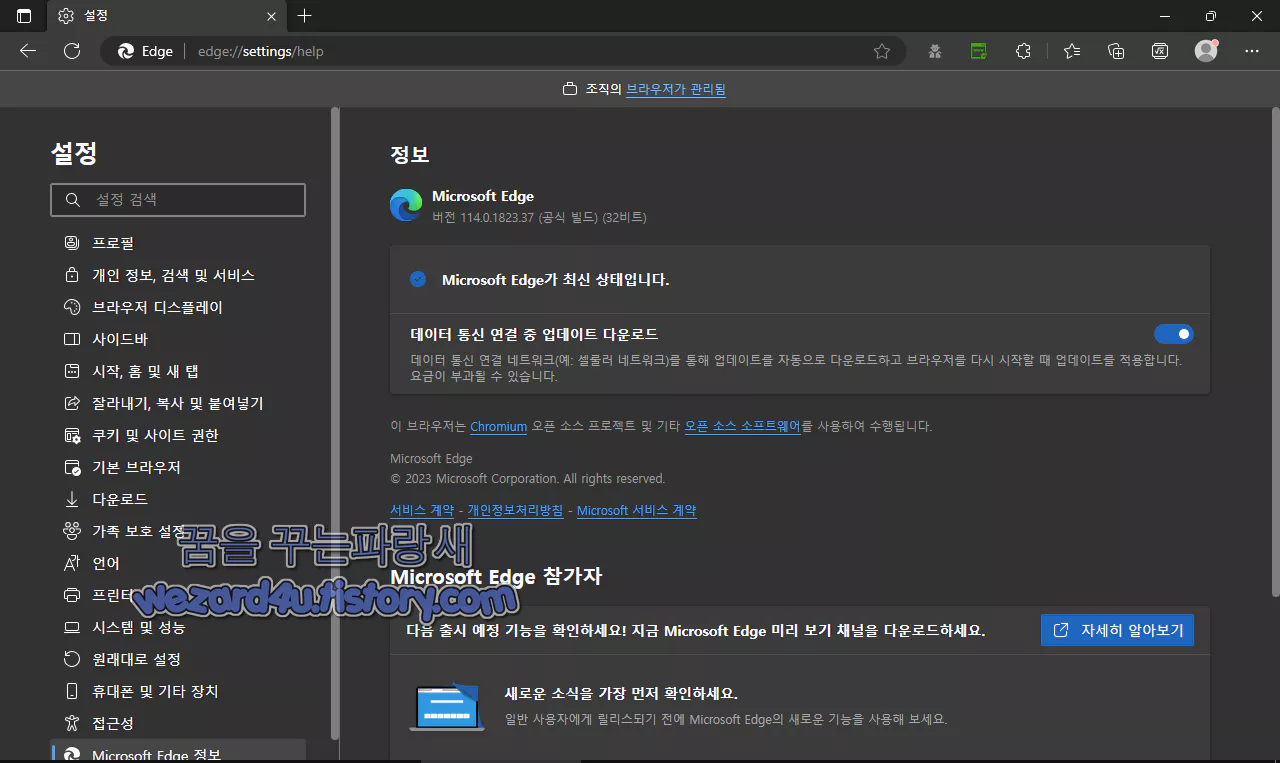 Microsoft Edge 114.0.1823.37 보안 업데이트
