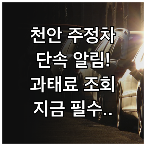 천안시 주정차 단속 알림 서비스 신청..