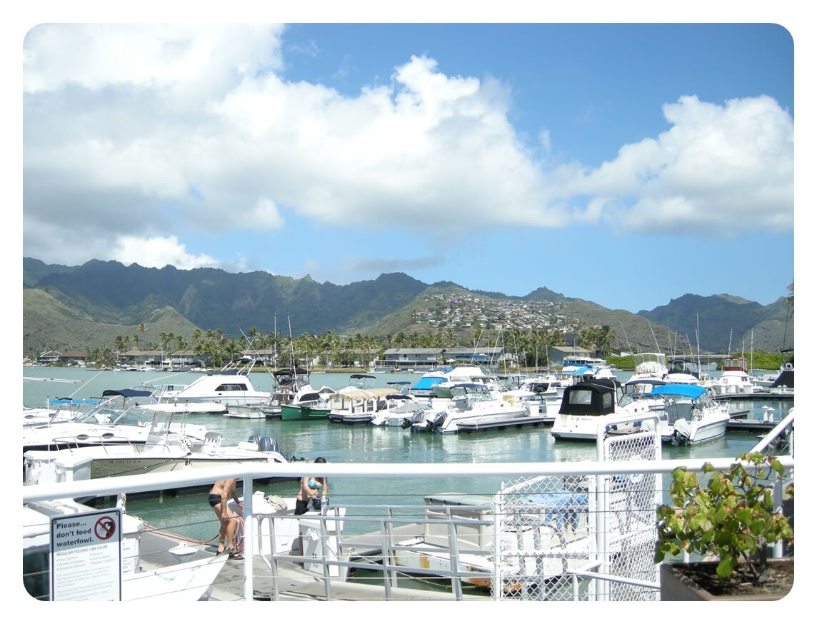 하와이 오아후섬 코코 마리나 센터 KOKO MARINA CENTER 정박되어 있는 요트 모습을 찍은 사진