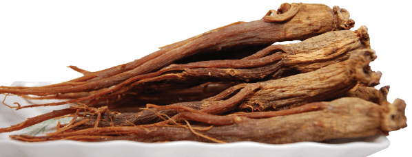 갱년기 남자에게 좋은 음식 홍삼