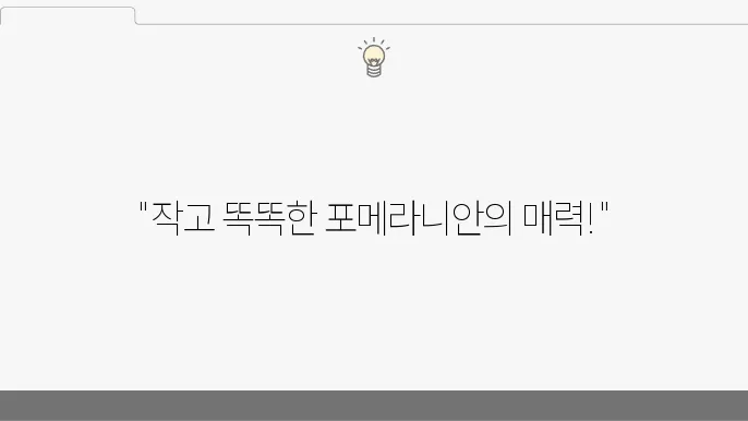 사랑스러운 포메라니안과의 일상