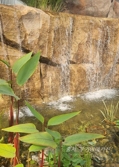 24년 순천만 국가정원 식물원 동문 순천여행