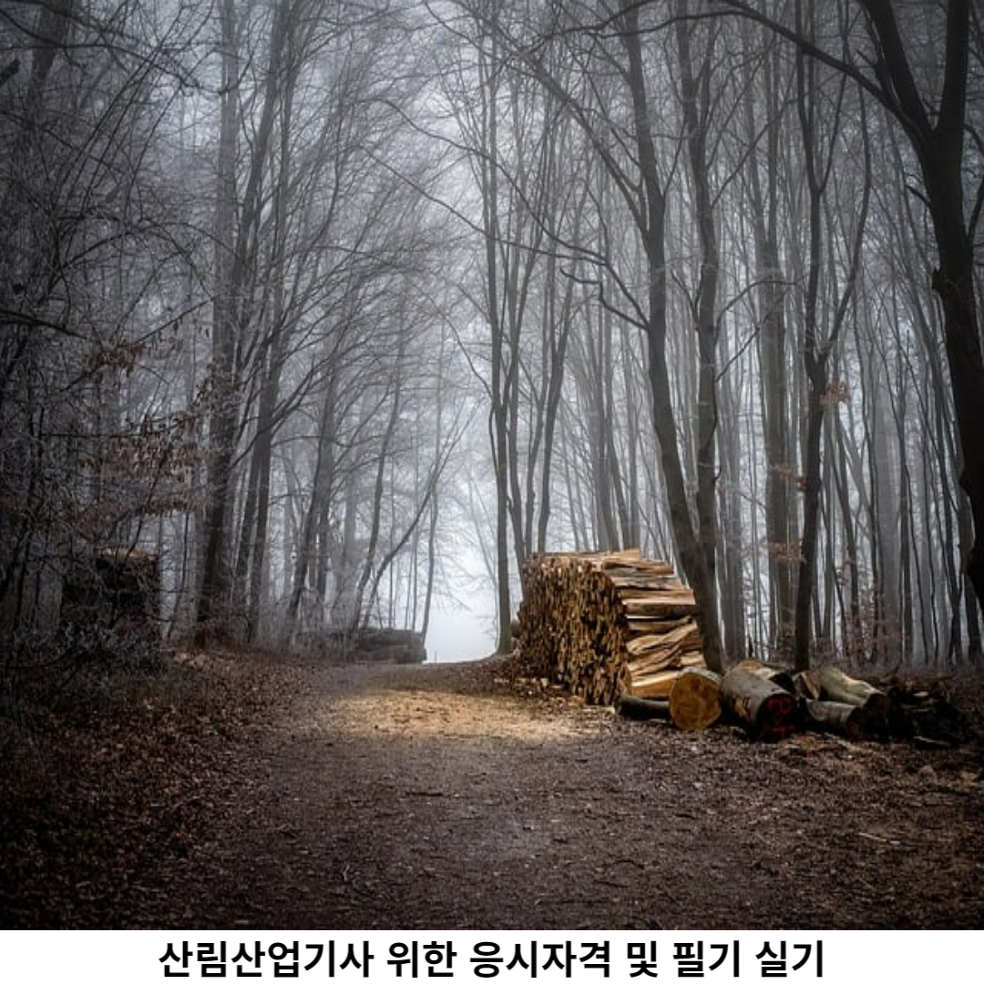 산림산업기사 필기 시험