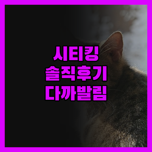 시티 킹 호텔 아파트먼트 숙박 후기 