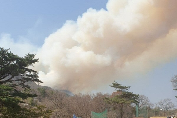 2025 산불