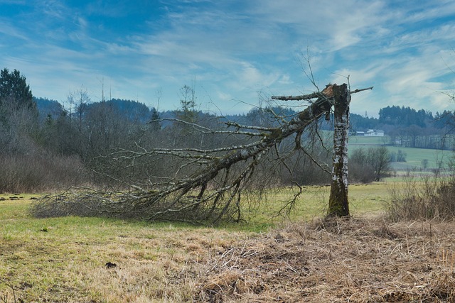골다공증 치료방법