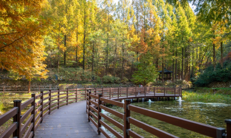 장태산 자연휴양림