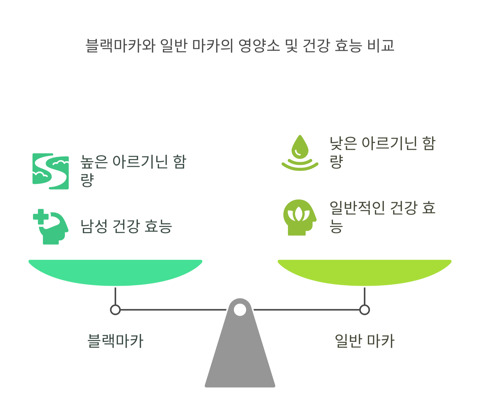 블랙마카란? 기본 정보부터 알아보기