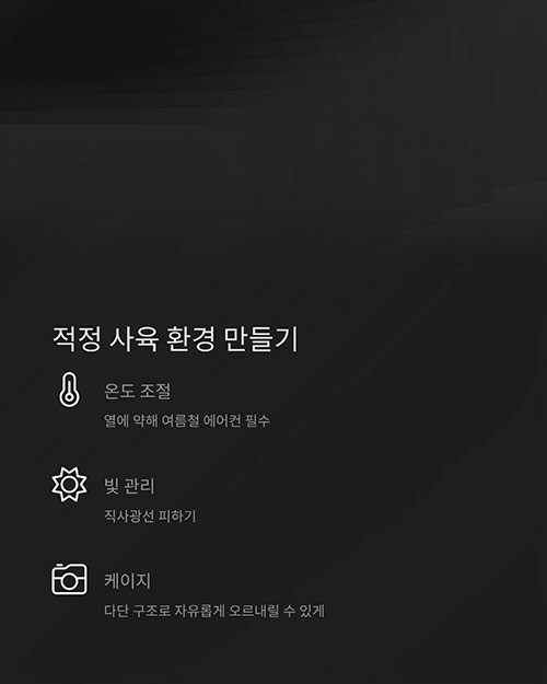 적정 사육 환경 만들기