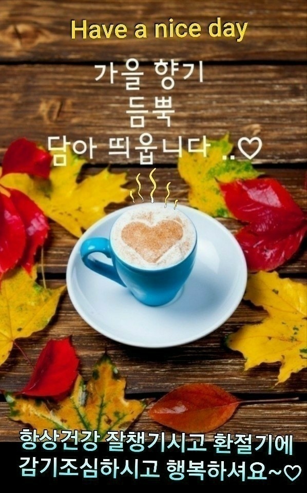 가을 향기 듬뿍 담아 띄웁니다