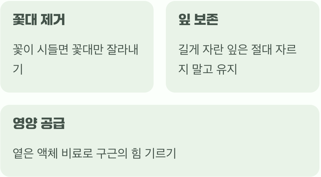 축제가 끝난 후, 내년을 기약하는 법