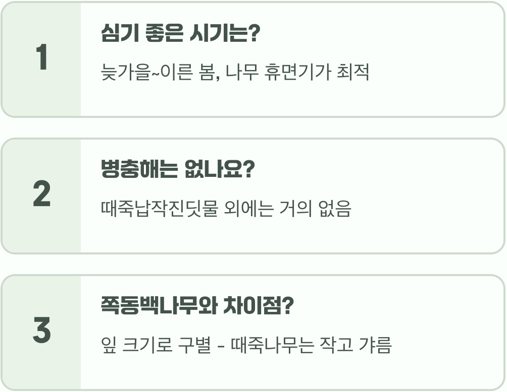 정원수로 최고! 때죽나무 키우기, 실패하지 않는 5가지 비결