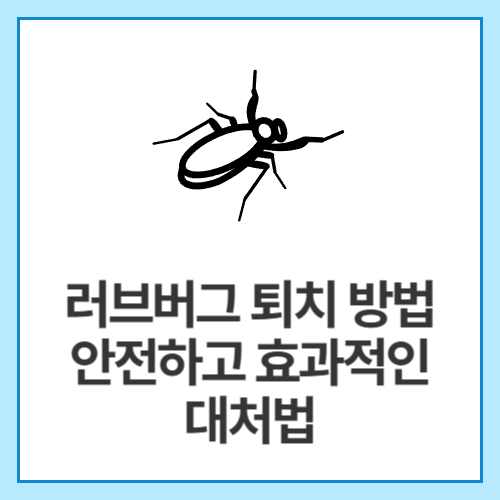 러브버그-퇴치-방법-안전하고-효과적인-대처법