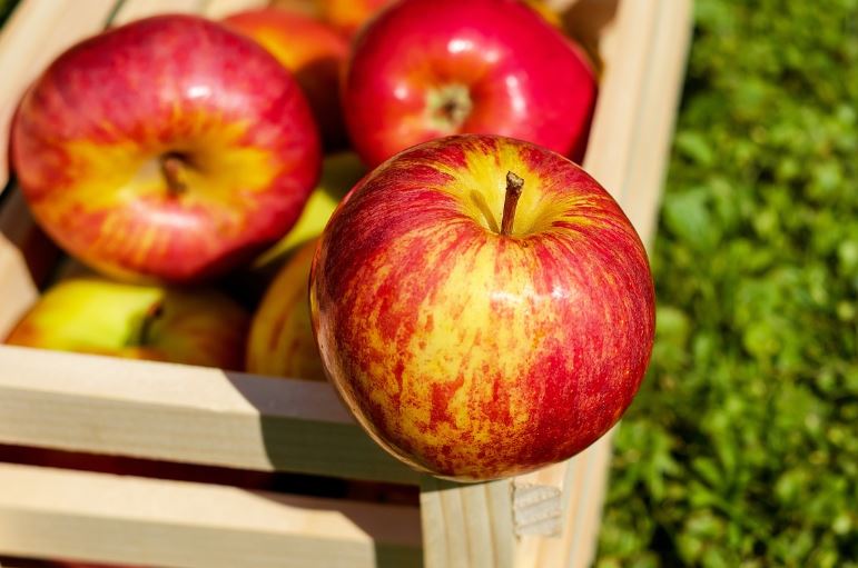 당뇨에 좋은 음식 과일 혈당지수(GI) 꼭 확인하세요