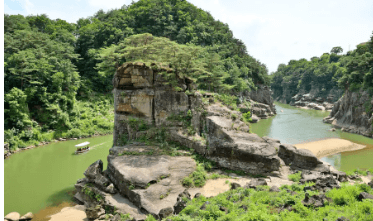 가을단풍 단풍버스 당일여행