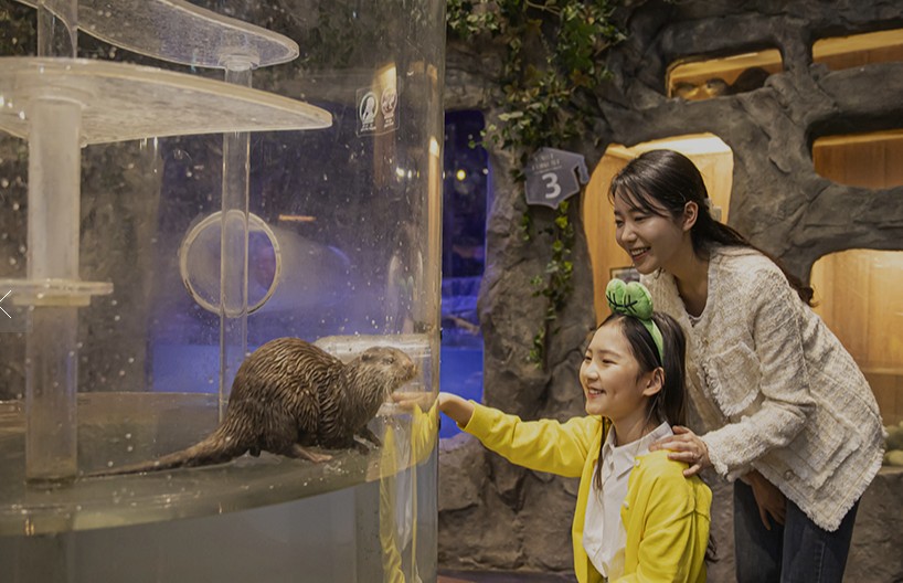 주말 아이랑 가기 좋은 곳 추천 - 주렁주렁 영등포점