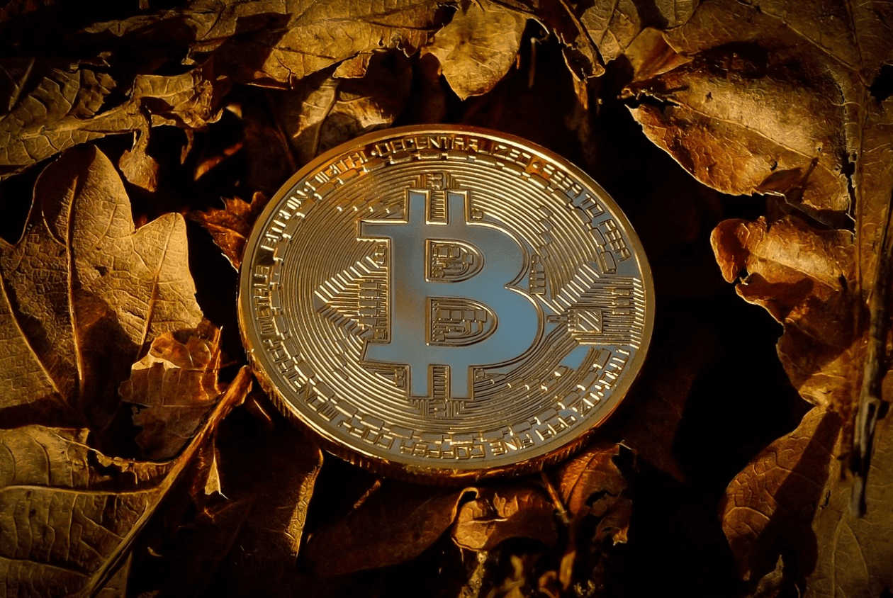 대전 청년 월세 지원사업