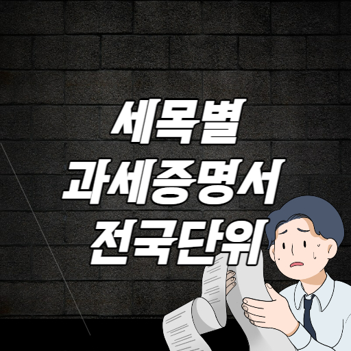 세목별 과세 증명서 전국단위 발급