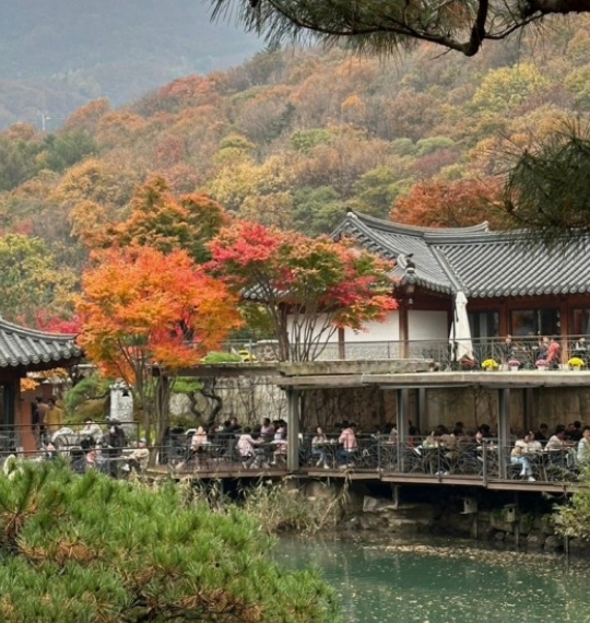 조용한수목원