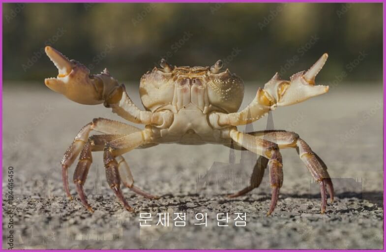 부정언어의 문제점