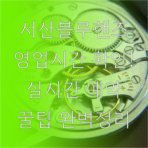 서산 현대자동차 블루핸즈 영업시간과 ..