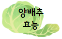 이 이미지를 클릭 하시면 위에 좋은 음식 중 하나인 양배추 효능에 관한 포스팅으로 이동 됩니다.