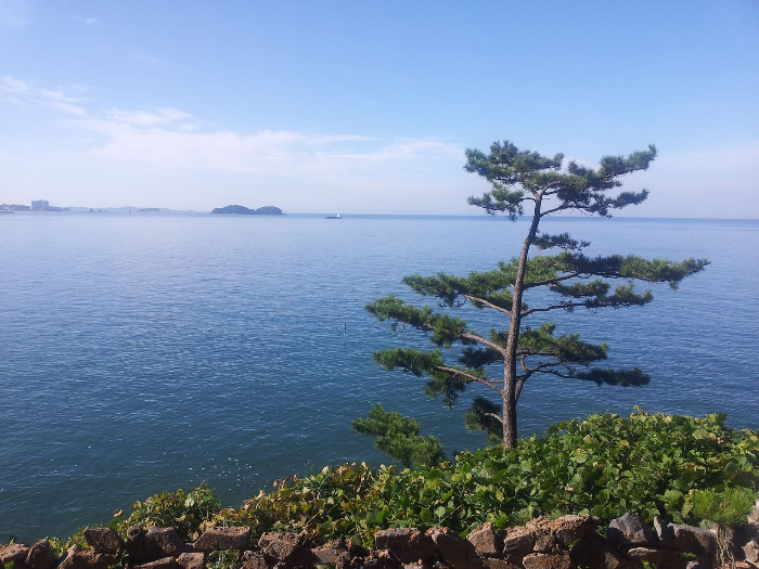 죽도상화원