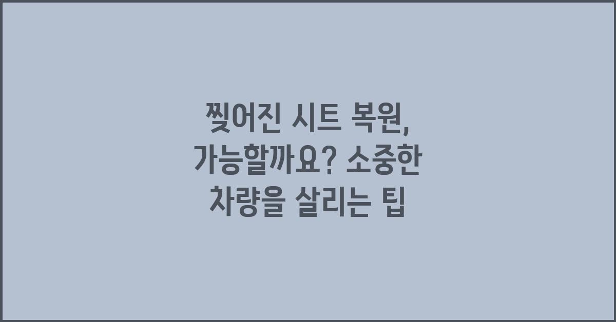 찢어진 시트 복원, 가능할까요?