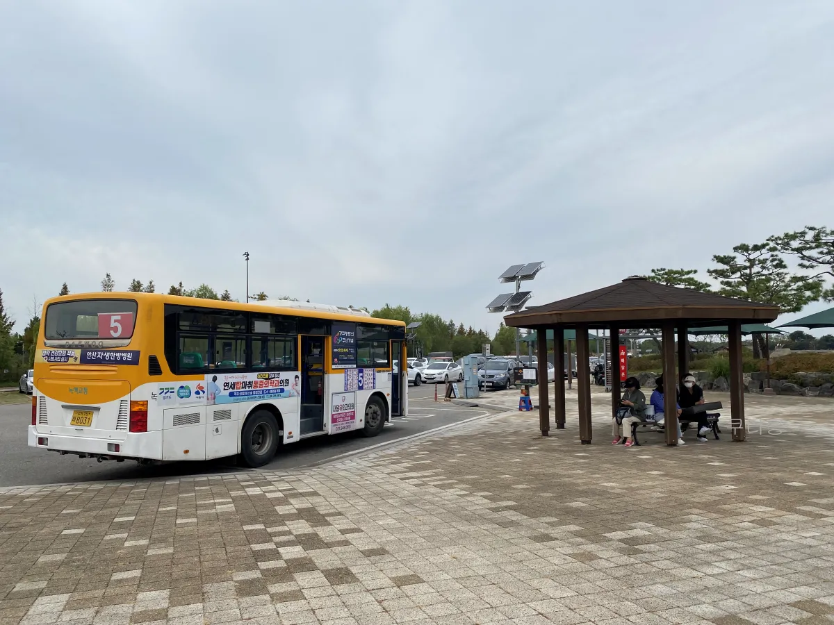 서울-근교-나들이-가볼만한곳-추천-억새-코스모스-시흥갯골생태공원-무료-주차-꿀팁