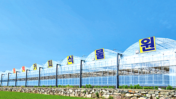 특색있고 아름다운 민간 정원 30선 추천 여행 - 25. 통영 동백커피식물원