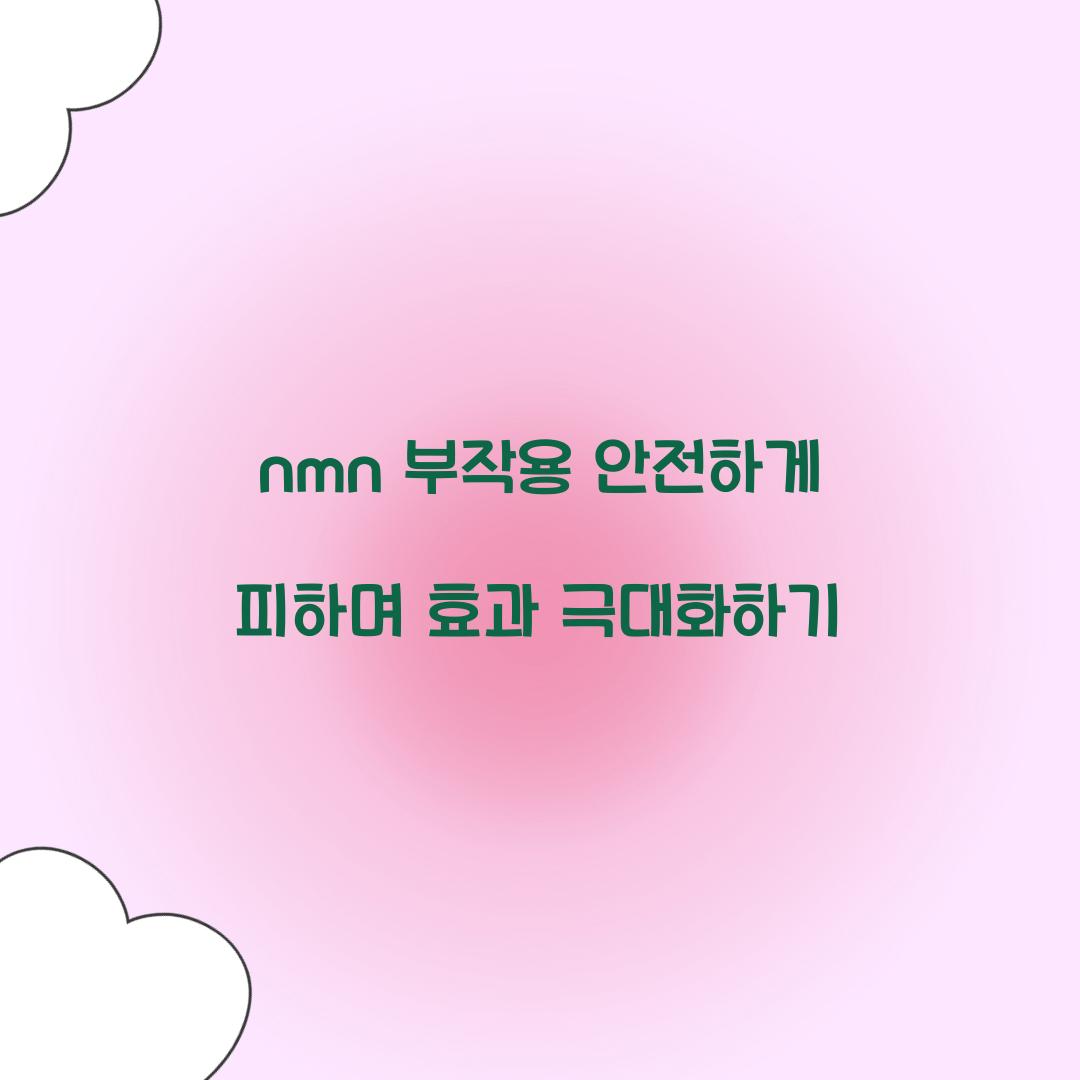 nmn 부작용