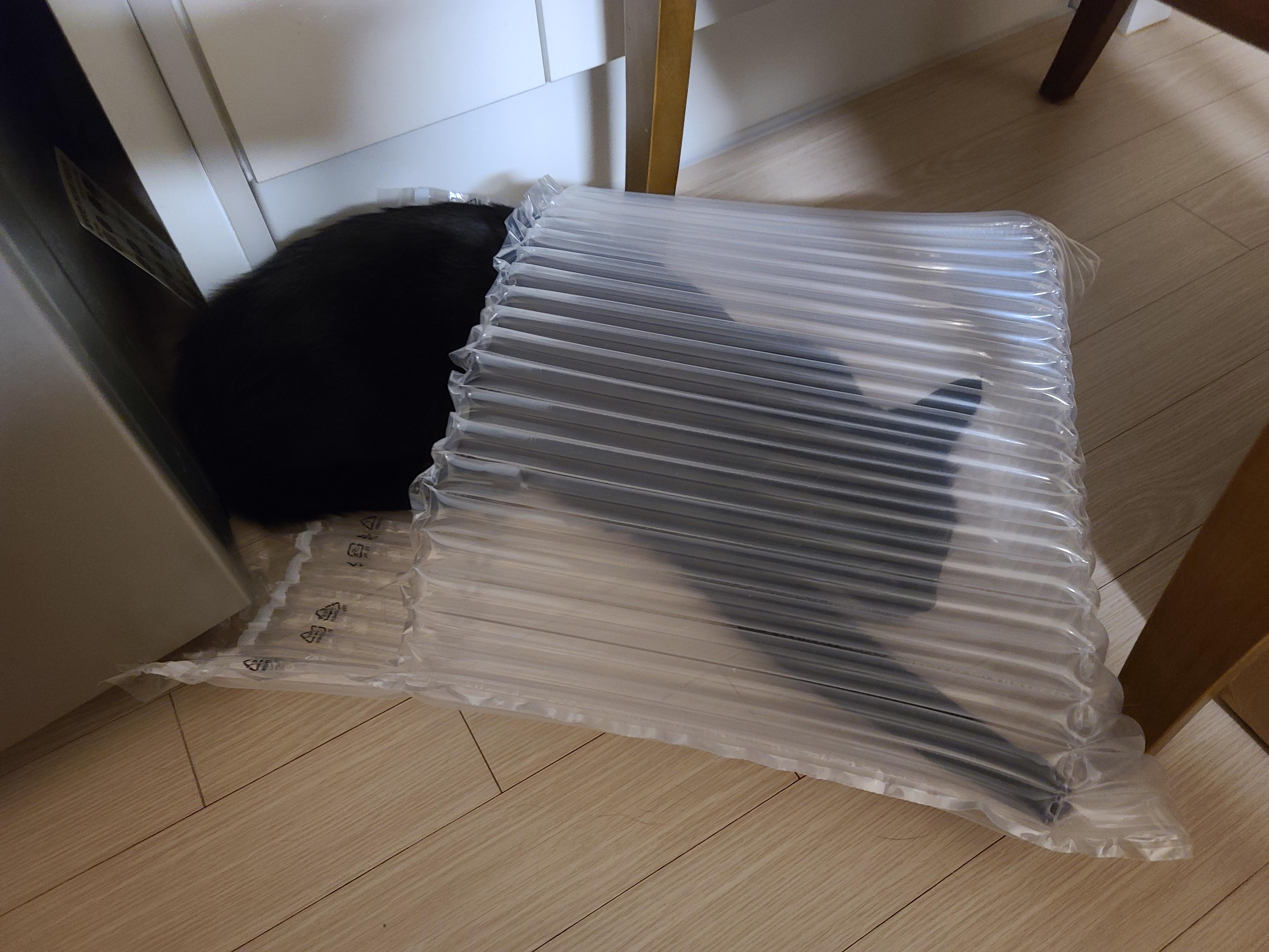 택배를 시켰는데 고양이 장난감이 왔다. 생활속 장난감.