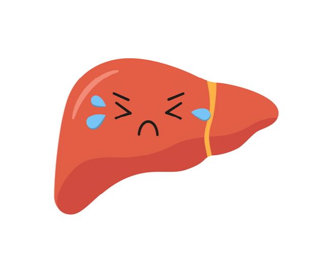 alt 수치가 높으면