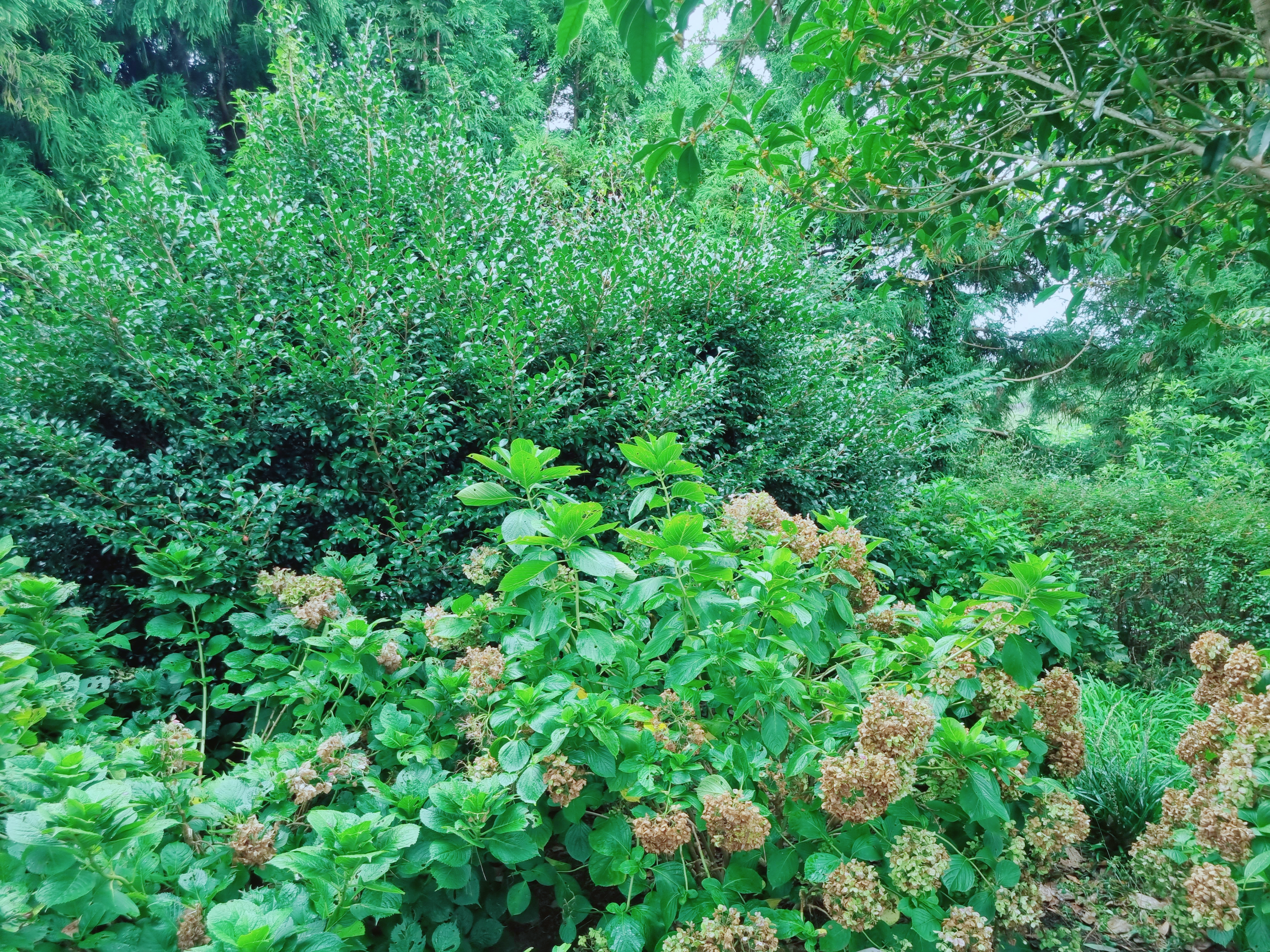 휴애리 자연생활공원