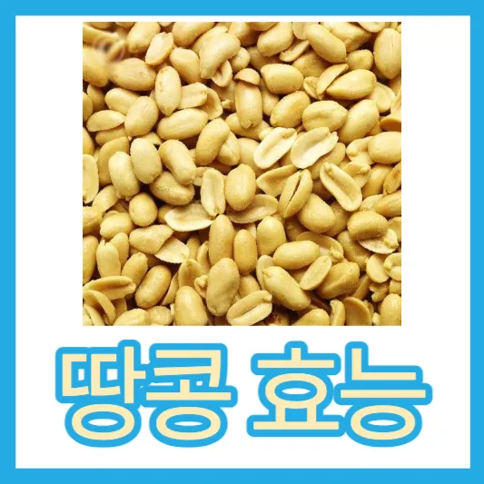 땅콩의 숨겨진 효능